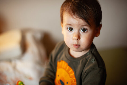 Closeup portrait of toddler with big brown eyes sitting on soft bedding under warm indoor light, wearing dark sweatshirt with bright lion graphic, curious