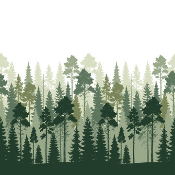 Seamless vector illustration featuring dense green pine trees creating a mysterious forest landscape background