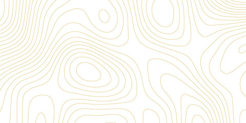 Abstract topographic map contour lines pattern with gold strokes on white background topography geography cartography landscape metallic geometric © AbuTalha