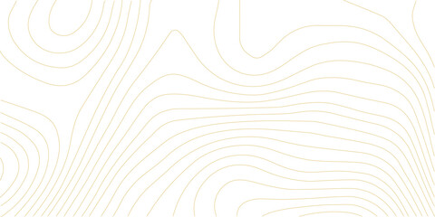 Minimalist golden contour map line art pattern on clean white surface with lines topography geography cartography landscape metallic abstract background geometric © AbuTalha
