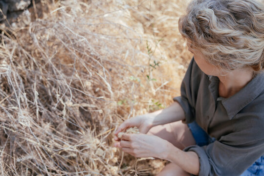 Blonde Woman Examining Dried Wildflower Seeds in Summer Countryside