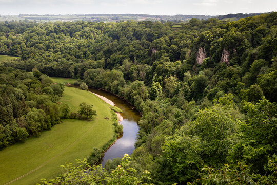 River Wye winding through green valley and forest seen from Symonds Yat Rock