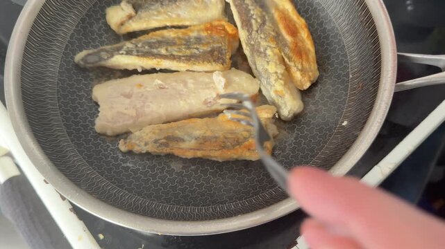 Fried fish fillets whitefish hake seafood pescatarian diet healthy eating, nutritious meals delicious appetizers, fresh ingredients gourmet cuisine, traditional dishes food background top view copy sp