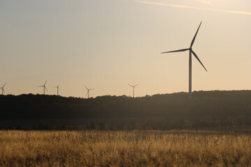 Wind turbine above golden grassland in warm evening light © Philipp