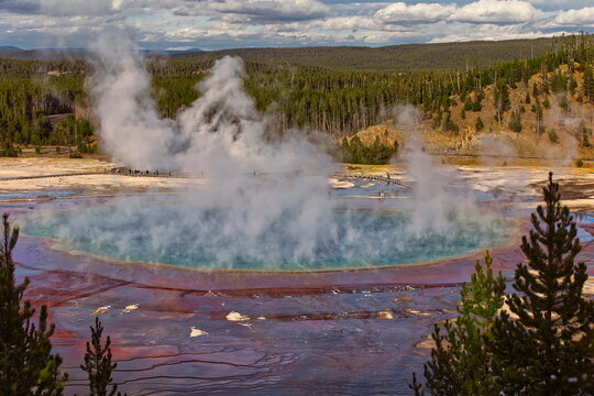 Whole view from Grand Prismatic Spring Overlook of the colorful, steam-shrouded, eponymous hot spring. Midway Geyser Basin-Yellowstone NP-WY-USA-039