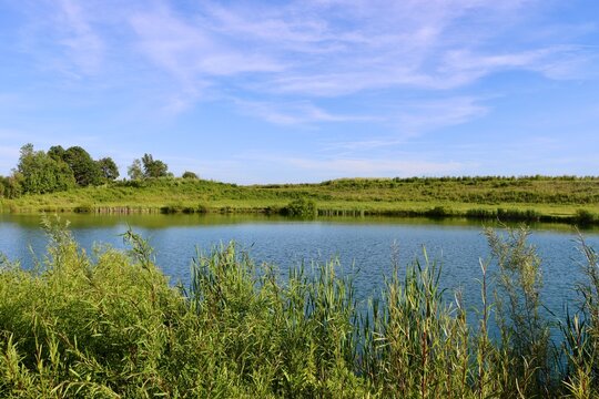 The quiet lake in the countryside on a sunny day.