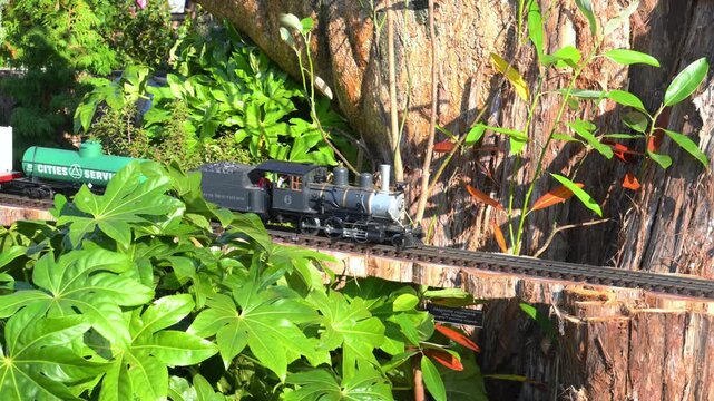 A model produced by the German manufacturer LGB in G scale, depicting a Colorado & Southern Mogul 2-6-0 steam locomotive with a green tank car on a garden railway.
