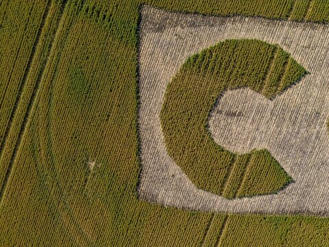 Aerial view of a large letter C mowed into a green agricultural field in Caledon, Western Cape, South Africa.