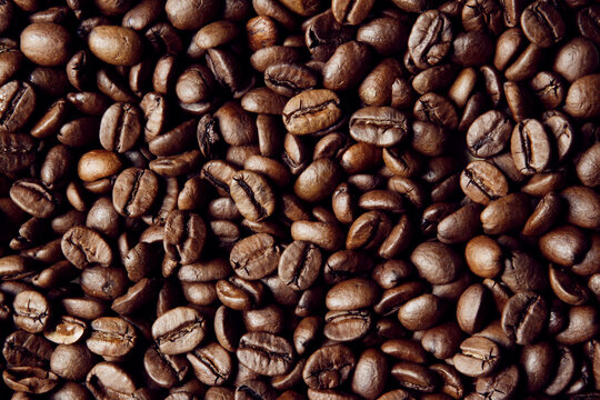 Roasted coffee beans