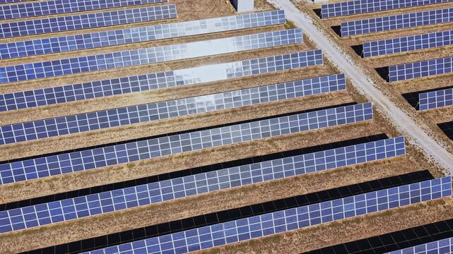 Rows of solar panels stretch across a rural area. The panels are aligned neatly, exposed to direct sunlight. This setup promotes the use of renewable energy for power generation.