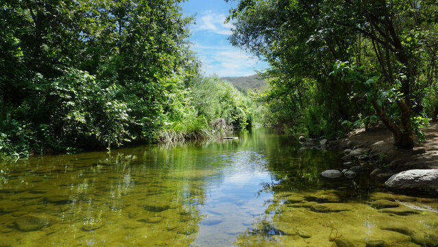 Scenic Santa Margarita River Surrounded by Lush Green Vegetation in Southern California