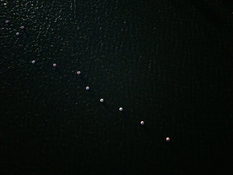 Aerial view of a line of white and pink buoys floating on the dark water of a lake in Uusimaa, Finland.