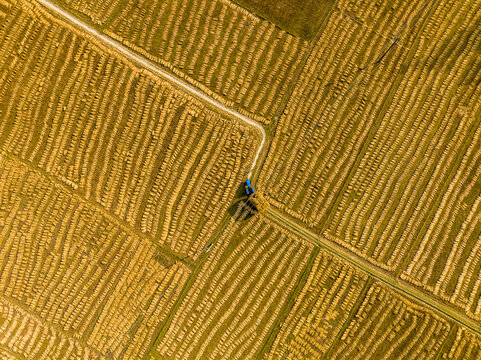 Aerial view of a tractor working in a harvested field with rows of golden hay and a dirt path in Mirzapur, Dhaka Division, Bangladesh.