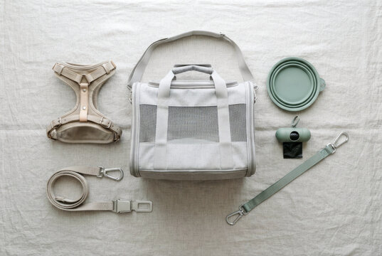 Pet travel accessories arranged on a light fabric background with carrier, harness, leash, collar, bowl, and camera for organized flat lay