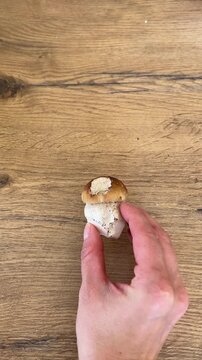 4K vertical 9:16 video of a hand holding a small, freshly picked king bolete (porcini) mushroom over a wooden table. Foraging and nature concept.⁠