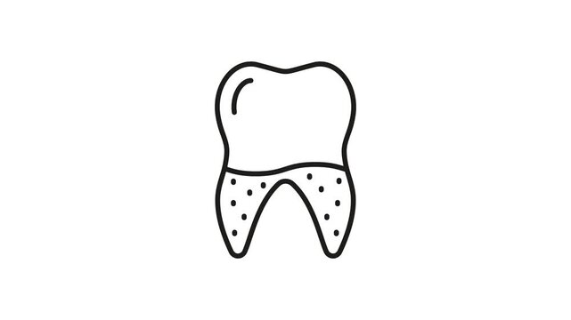Tooth With Gum Animated Icon With Alpha Channel. Dental Health, Oral Hygiene, And Gum Care Motion Graphic. Dentistry And Periodontal Disease Prevention. On Transparent Background