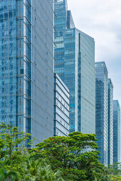 Modern glass office buildings and green trees in Shenzhen city, China. Contemporary corporate architecture, commercial property, urban density, high-rise development, business infrastructure