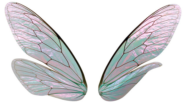 Isolated pair of delicate iridescent fantasy fairy wings showing elegant vein structure