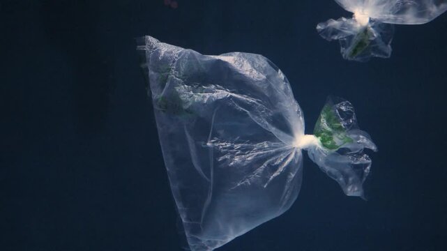 A plastic bag (polyethylene) drifting in the water column and visually resembling marine organisms such as jellyfish of the genus Aurelia or the Portuguese man o&rsquo; war (Physalia physalis).