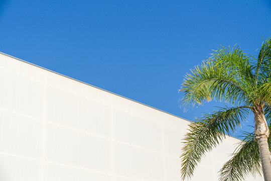 Low angle view of palm tree beside modern white building against clear blue sky in Spain, minimalist architecture background with diagonal roofline and copy space