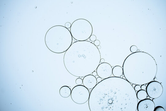 Oil droplets suspended in water forming circular patterns