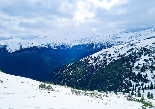 Snow-covered mountain slopes and dark alpine forest in a winter mountain valley