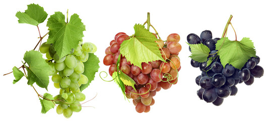 Fototapeta premium Grapes of different varieties against transparent background, set