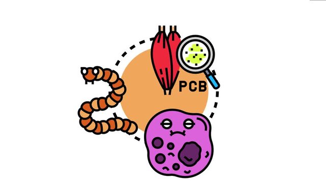 Environmental contamination impacting human muscle cells, an earthworm, and a single celled organism, the widespread effects of harmful substances on living systems