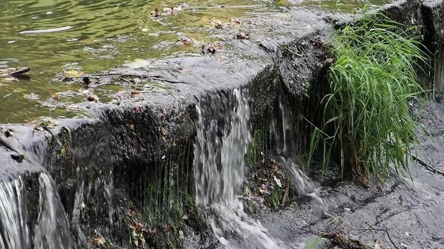 Small rocky waterfall cascading over mossy ledge into shallow stream with green grass bank and rippling pool above falls, close-up natural scene showing flowing water motion and textured wet rock