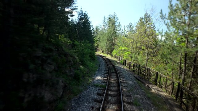 Railway Tracks Curving Through Green Forest