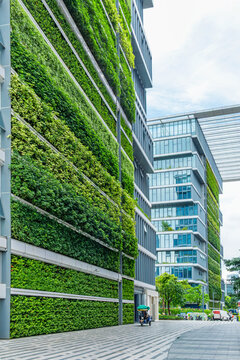 Green living walls cover modern building facades along urban street in Shenzhen city, China. Vertical landscaping, sustainable architecture, biophilic urbanism, ecological infrastructure