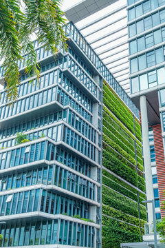 Modern building with green facade covered with dense vegetation in Shenzhen, China. Vertical gardening, green architecture, biophilic urban design, sustainable construction, ecological infrastructure