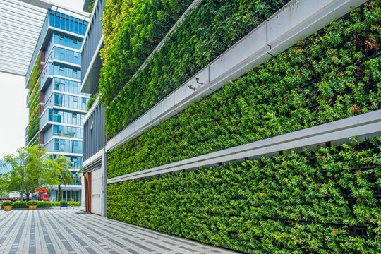 Vertical garden. Plants cover large living wall beside pedestrian space in Shenzhen city, China. Green facade technology, urban biodiversity, sustainable architecture, ecological landscaping