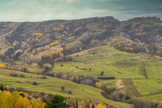 Green pastures and grassy hills of Savsat, Artvin, Turkey, dotted with yellow birch trees in autumn, a rural highland landscape of the Black Sea region