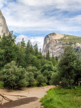 Yosemite Valley in Yosemite National Park, California, USA, with granite cliffs rising above pine forest and a sandy trail in summer