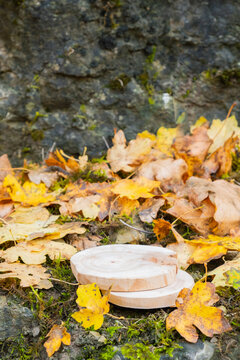 Leaves cover a stone surface with wooden podium in a natural outdoor setting
