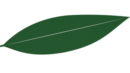 Isolated simple dark green leaf with a prominent white central vein and alphanumeric label B 2038 © Andrei
