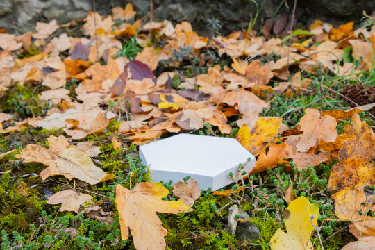 Leaves cover a white hexagonal podium on the ground near moss and rocks during autumn