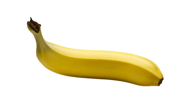 Isolated fresh ripe banana fruit, healthy sweet tropical snack, rich in vitamins and potassium