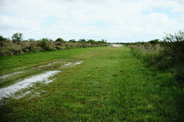 Naklejka premium Grass Track Running Through Open Fields