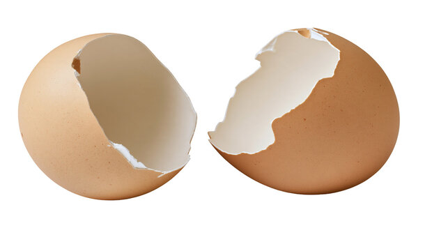 Isolated broken brown eggshell, two separate halves, essential for cooking and baking