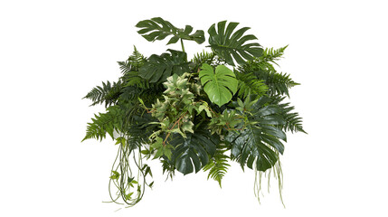 Isolated lush tropical plant arrangement with monstera leaves, ferns, and hanging vines © Cian