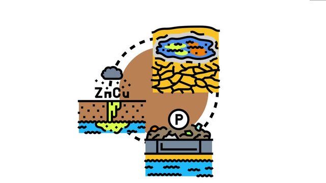 Polluted runoff accumulating on dry cracked earth. Carrying debris. Heavy metals like zinc and copper. And phosphorus into water bodies