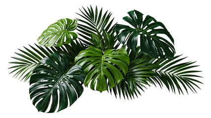 Isolated lush green exotic tropical plant leaves arrangement with monstera and palm fronds © Niamh