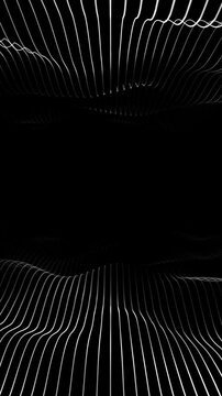 Loop vector black and white wavy background. Vertical mirrored white waves black background. Graphic white waves, sky-fi space 60 fps. monochrome pattern symmetrical wave. Abstract smoke illustration.