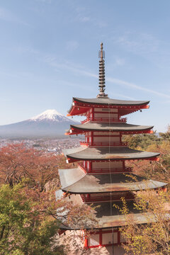 Chureito pagoda, Mt Fuji mountain viewpoint in Shimoyoshida, Japan