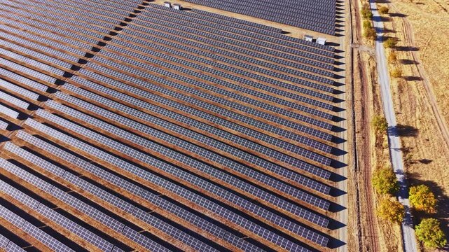 Rows of solar panels stretch across a vast field close to a dirt road lined with trees. The sun shines down, creating shadows on the ground as the day nears its end.