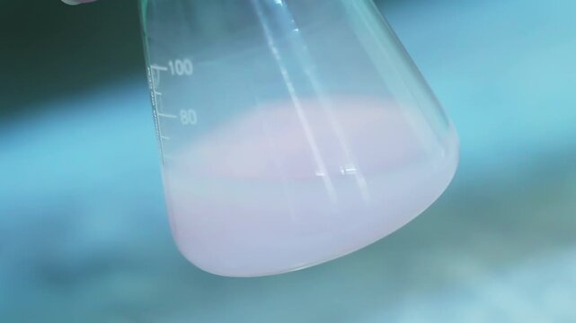 Laboratory flask milk turning pink. Dairy quality control titration closeup.