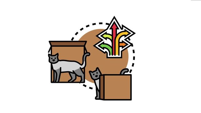 Cats are playing hide and seek in cardboard boxes, a concept of positioning objects and choosing different directions or options with multiple arrows
