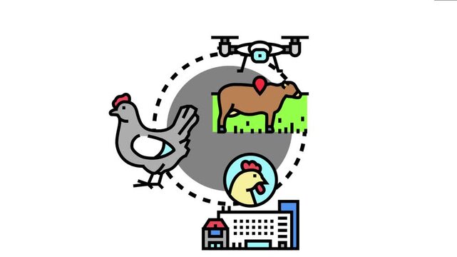 Modern farming practices integrating drone technology for monitoring livestock and poultry, advanced solutions for efficient ranching and animal husbandry operations